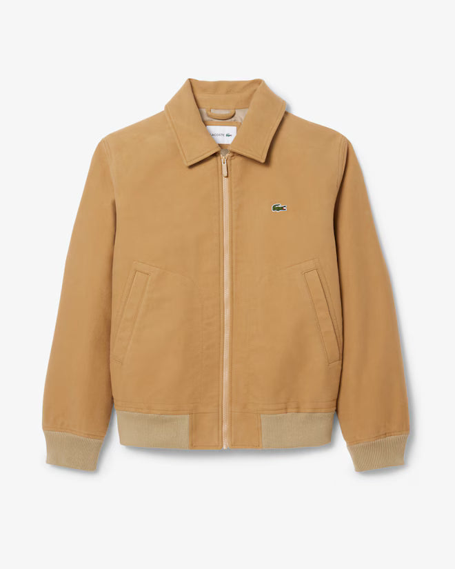 Lacoste- Chaqueta de moleskin acolchada